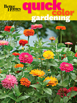 Quick Color Gardening
